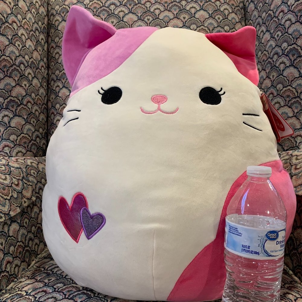 Squishmallow 17 in Valentine Day Cat Plushie